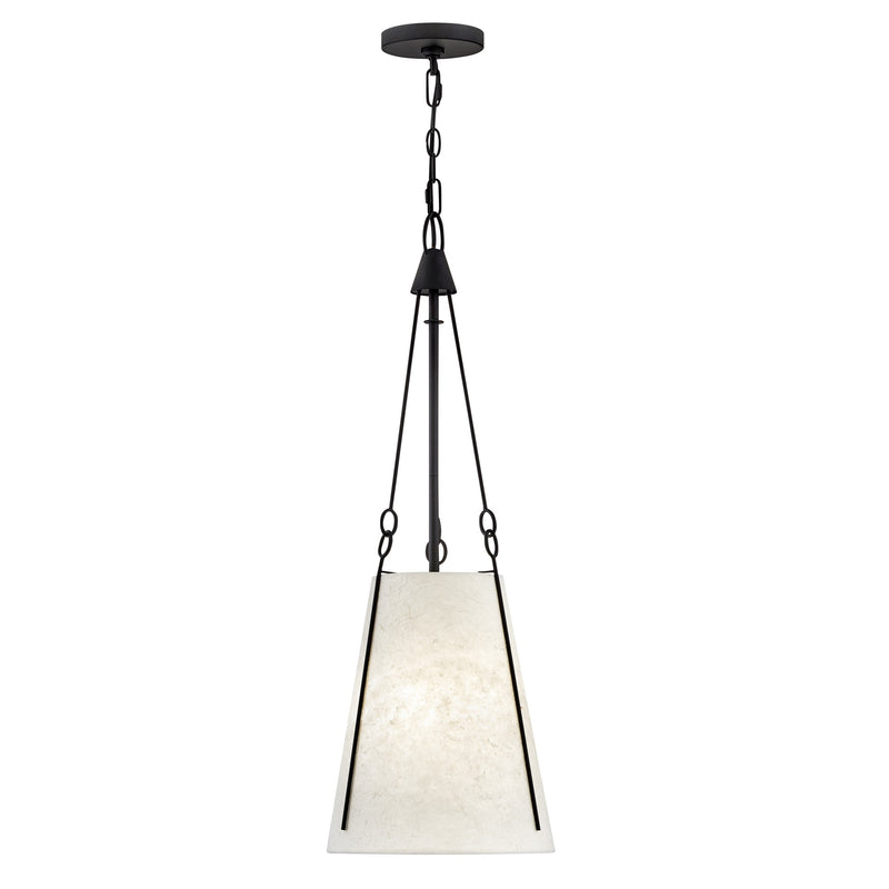 Danvers Small Pendant - Black - by Hinkley