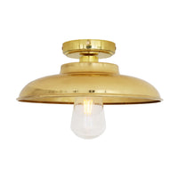 Darya Ceiling Light - Polished Brass