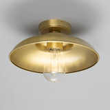 Darya Ceiling Light - Satin Brass