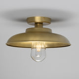 Darya Ceiling Light - Satin Brass