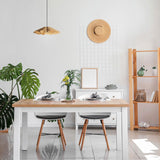 Delfina Acoustic Pendant