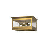 Douglas Flush Mount — Flush Mount
