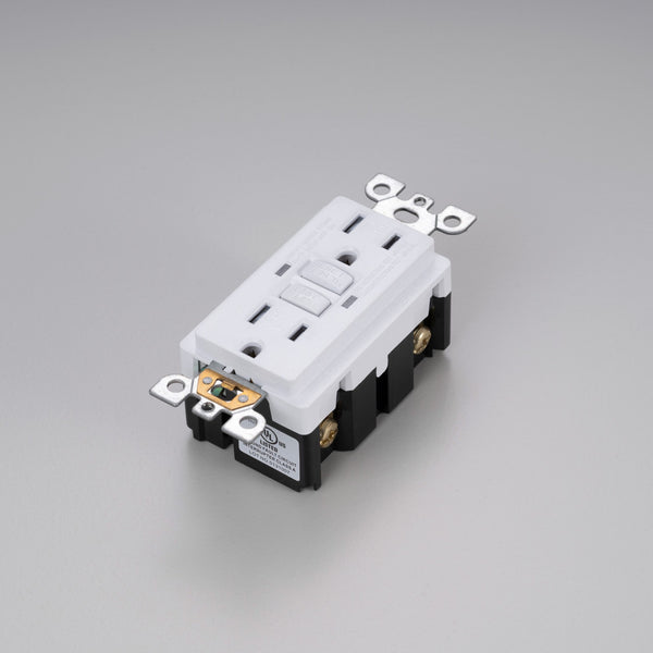 Duplex Outlet GFCI Module White By Buster And Punch