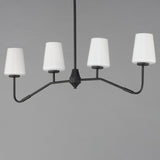 Durham Linear Suspension Black by Maxim Lighting