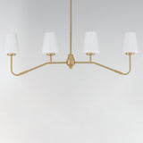 Durham Linear Suspension Natural Aged Brass by Maxim Lighting