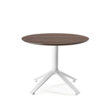 EEX Side Table<br> Wooden Top<br> Indoor Use