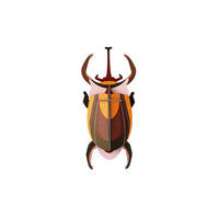 Elephant Beetle Wall Art