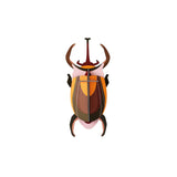 Elephant Beetle Wall Art