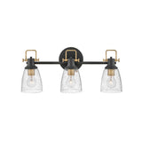 Easton Vanity Light