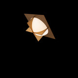 Echelot Ceiling light