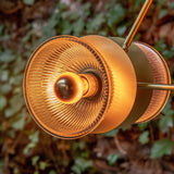 Eclipse Chandelier - Satin Brass