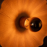 Eclipse Kapok Chandelier