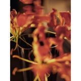 Eddy Wall Vase lifestyle view 3