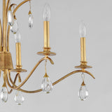 Eden Chandelier by Maxim Lighting