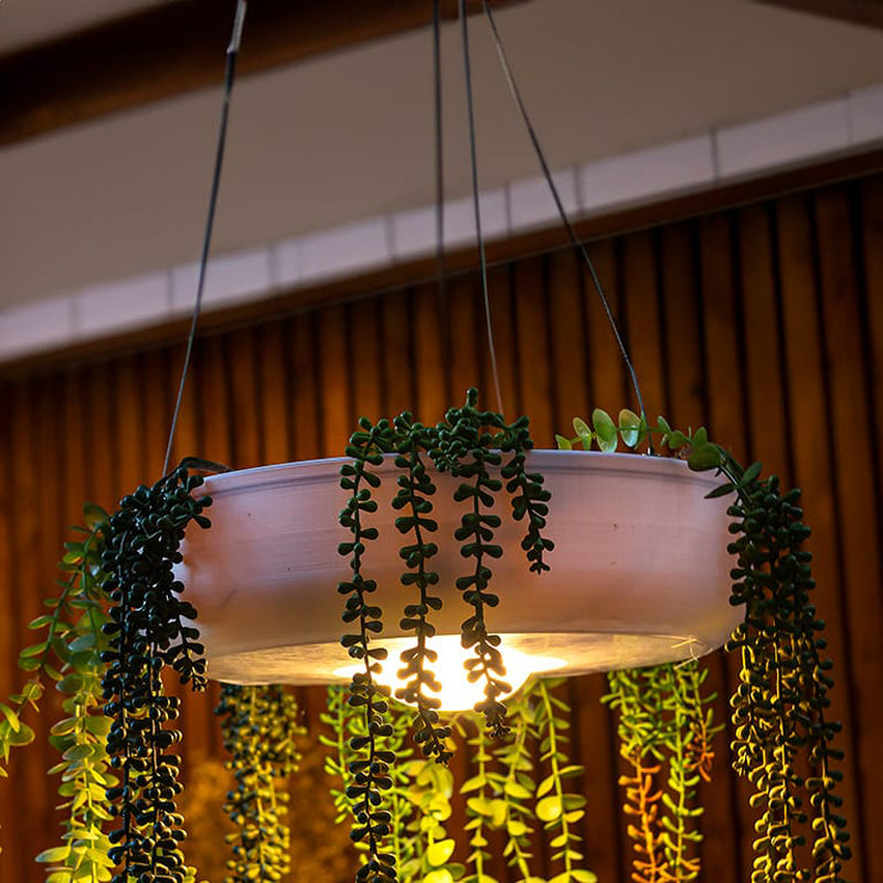 Elba Planter/Pendant Light