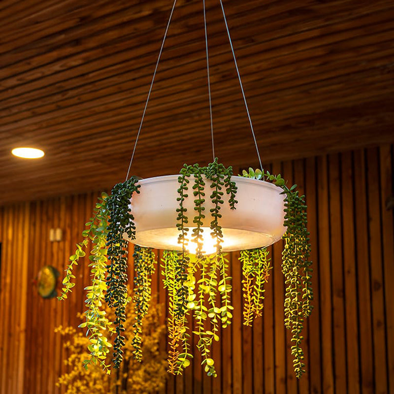 plant hanging lights Elba Planter/Pendant Light By New Garden