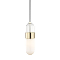 Emilia Pendant - Polished Brass