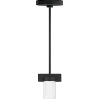 Esfera Pendant — Nightshade Black, 2700K 120V