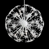 Esteracae Pendant