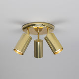Evanston Ceiling Light - Polished Brass