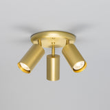 Evanston Ceiling Light - Satin Brass