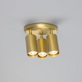 Evanston Ceiling Light - Satin Brass