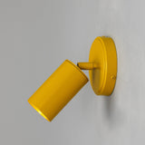 Evanston Wall Light