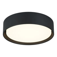 Ezra Ceiling Mount 13 Inch Matte Black