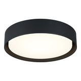 Ezra Ceiling Mount 16 Inch Matte Black