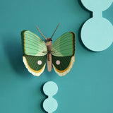 Fern Striped Butterfly Wall Art, styled in an interior