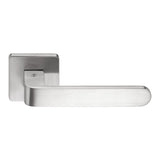 Fedra Door Lever in Satin Chrome by Colombo Design