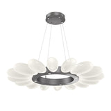 Fiori Ring Chandelier By Hammerton, Size: Small, Finish: Graphite