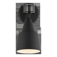 Flood Light Flood with Photo and Motion Sensor Flood Light — 5.69 Inch, Black with Black Glass