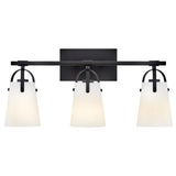 Foster Vanity Light