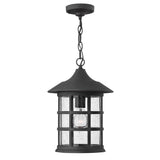 Freeport Medium Hanging Lantern - Black - by Hinkley