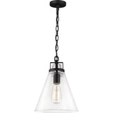 Frontage Pendant — 10", Oil Rubbed Bronze