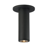 Fulcrum Surface Flush Mount Black by Maxim Lighting