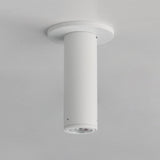 Fulcrum Surface Flush Mount White by Maxim Lighting