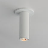 Fulcrum Surface Flush Mount White by Maxim Lighting