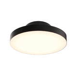 Fusion Trimless Pendant/Flush Mount by Dals