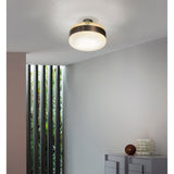 Futura Ceiling Light