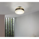 Futura Ceiling Light