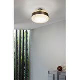 Futura Ceiling Light