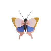 Gold Rim Butterfly Wall Art