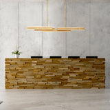 Cameno Linear Chandelier by Eurofase