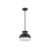 Gidget Pendant 10.25'' Matte Black + Vibrant Gold