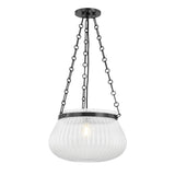 Granby Pendant - 17 Inch - Old Bronze by Hudson Valley