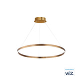 Groove WiZ Groove LED Pendant WiZ by ET2 - 31.5 Inch Gold