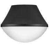 Haddie Flush Mount Black By Lark Living