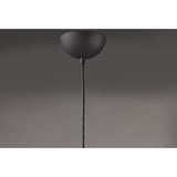 Half Moon LED Pendant by ET2 - Single, Black
